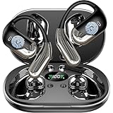 AI TRANSLATION AIR BUDS