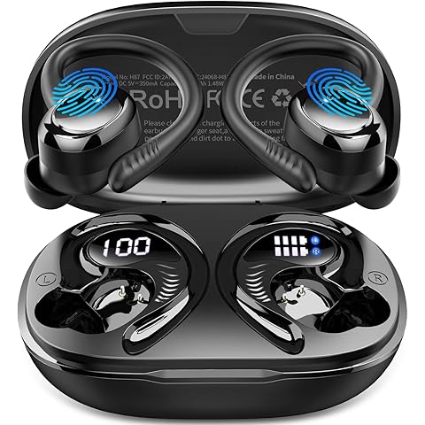 AI TRANSLATION AIR BUDS
