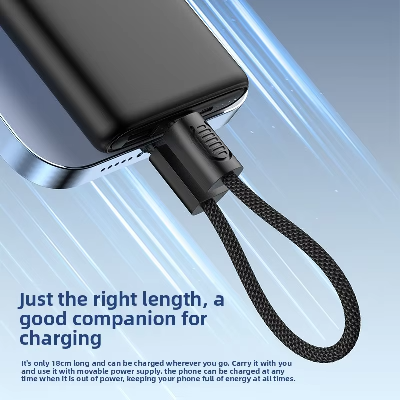 PowerLoop 60W All-Type Fast Charge Cable